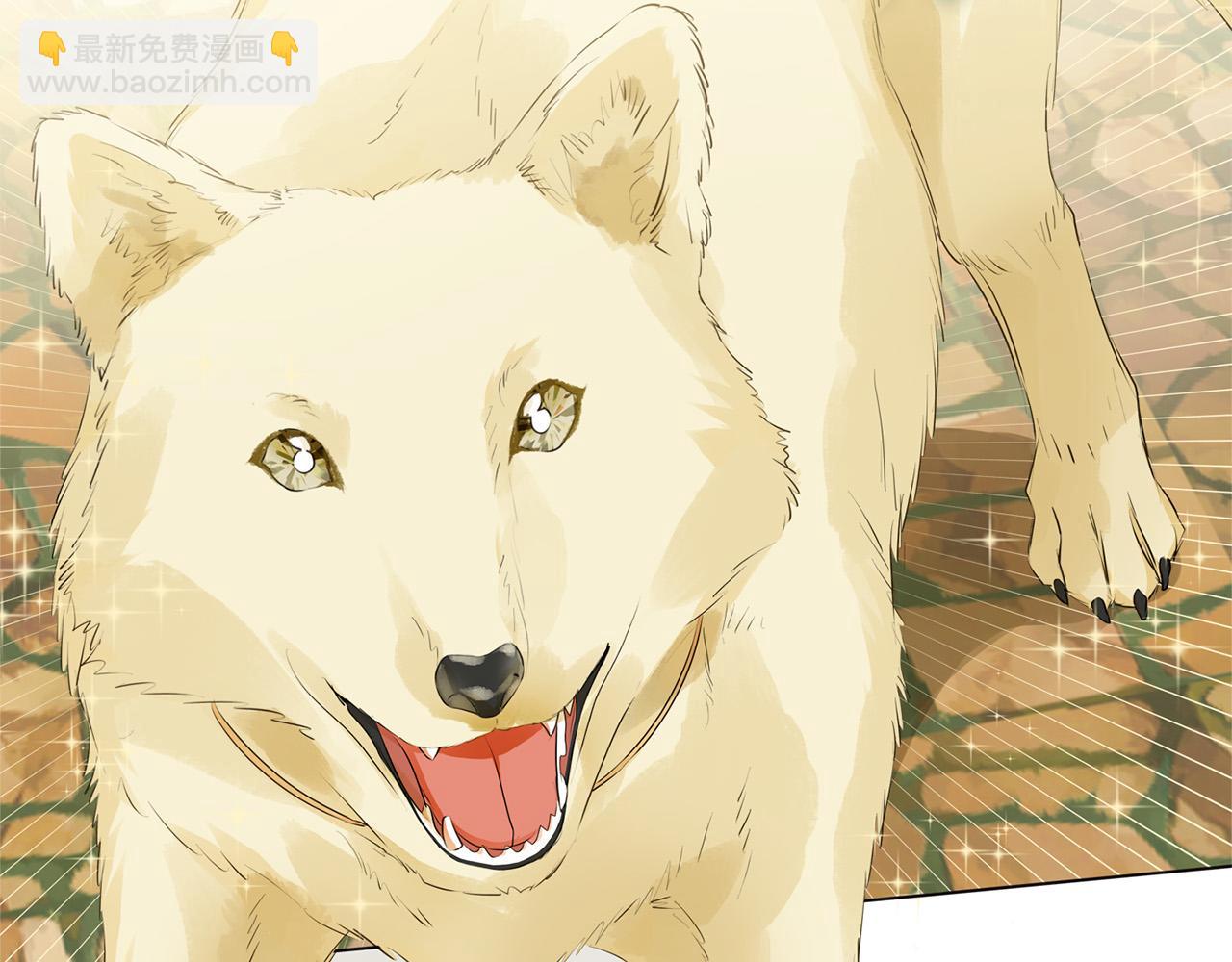 金髮精靈師之天才的煩惱 - 第86話 我也喜歡你(1/4) - 6