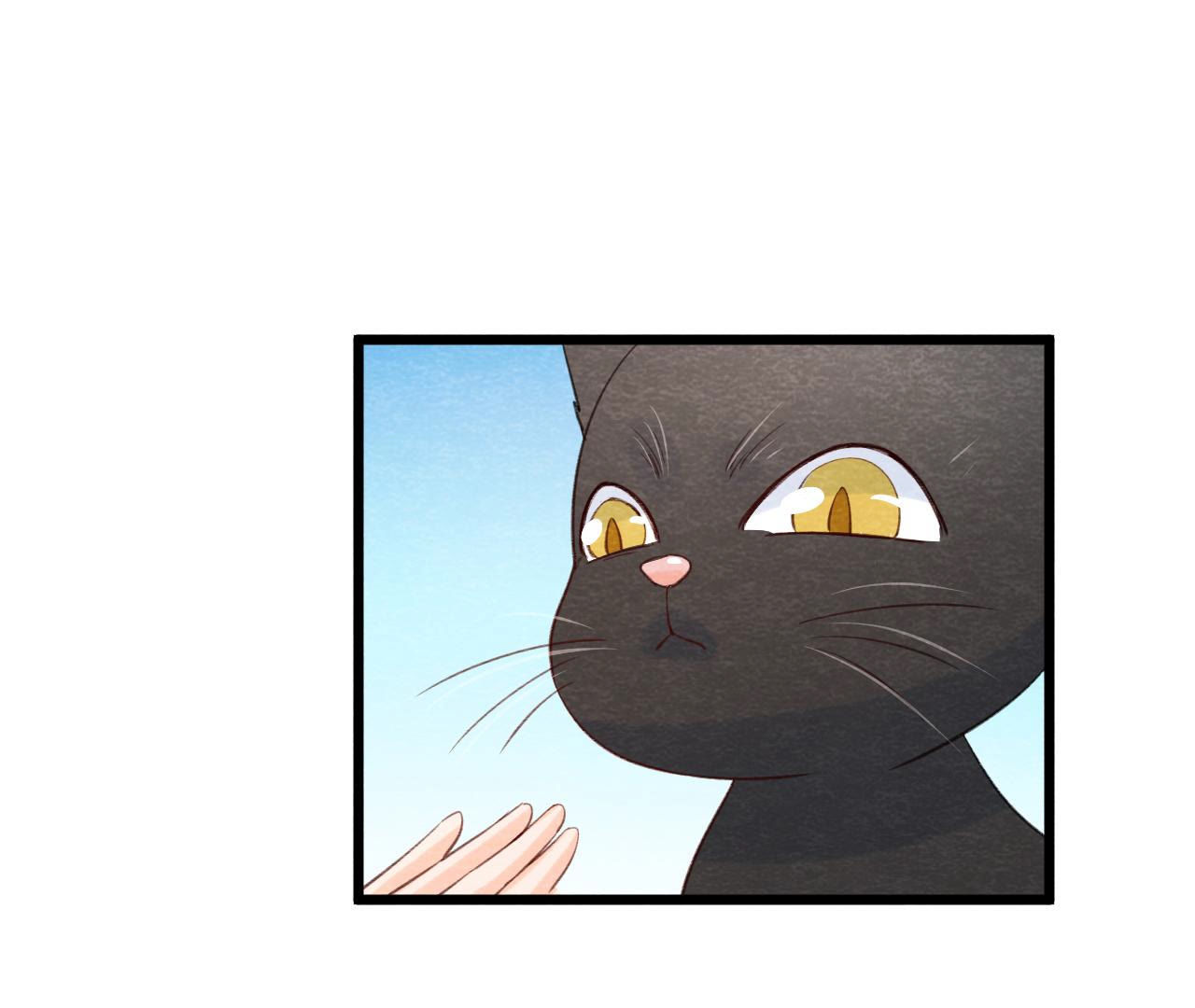 第2季第54话 童年奇遇(1/2)-第105话