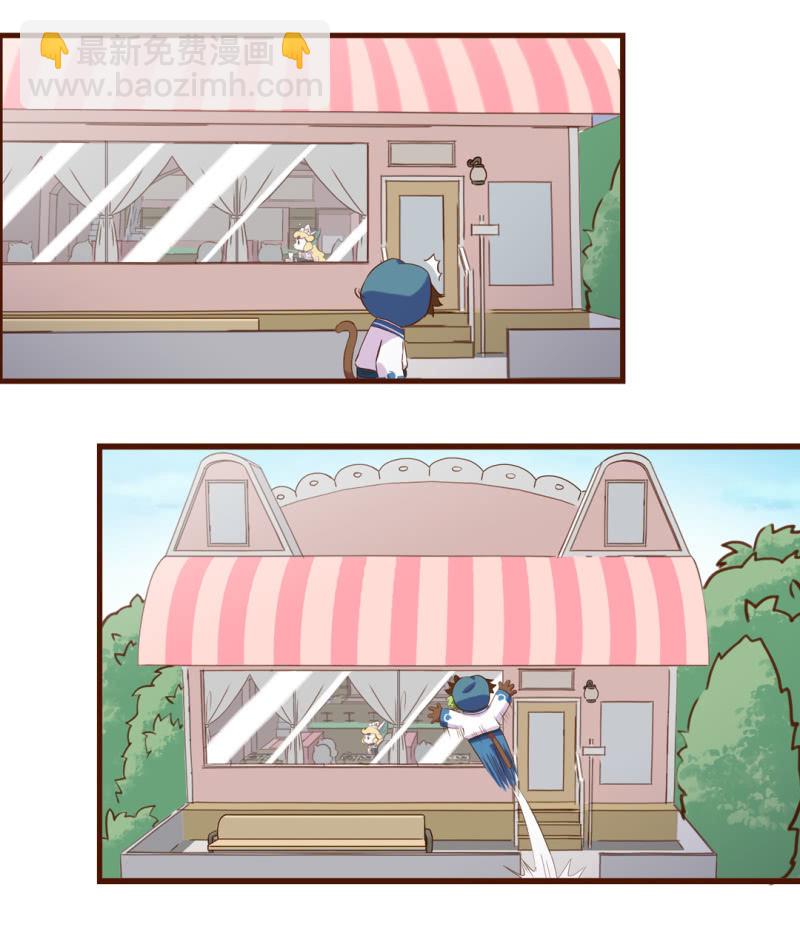 京劇貓喵日常 - 驚喜！怎麼又是她？ - 1