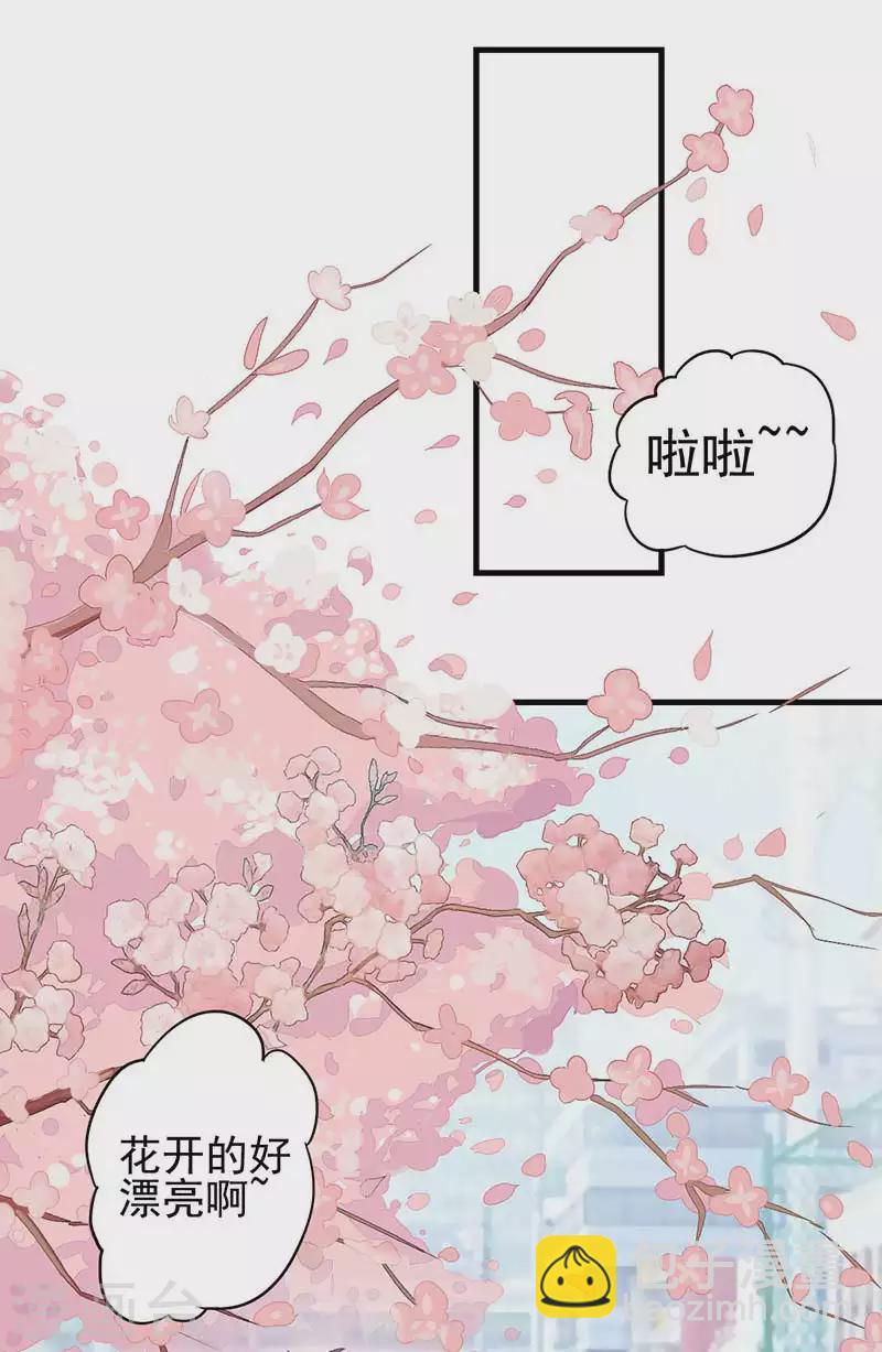 番外篇 生日-第37话