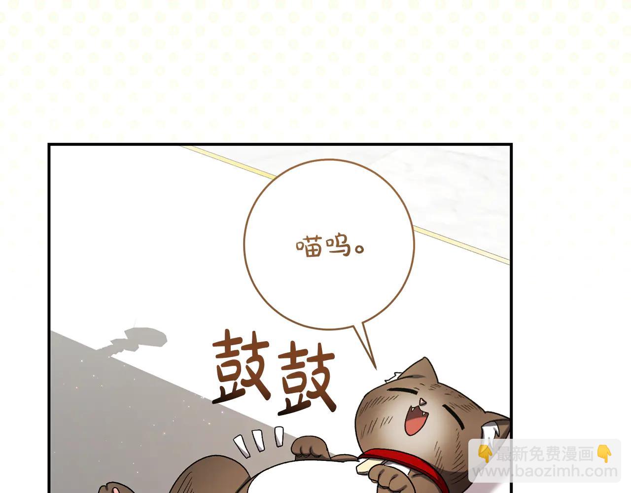 精靈團寵小千金 - 第233話 潛入騎士學校(1/3) - 3