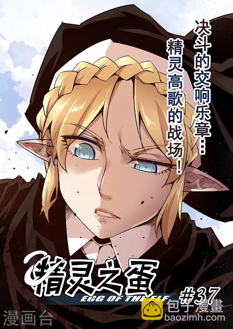 第37话 精灵高歌的战场2-第37话