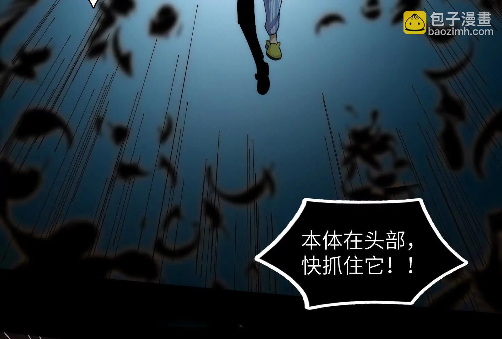 遛鸟(1/3)-第101话