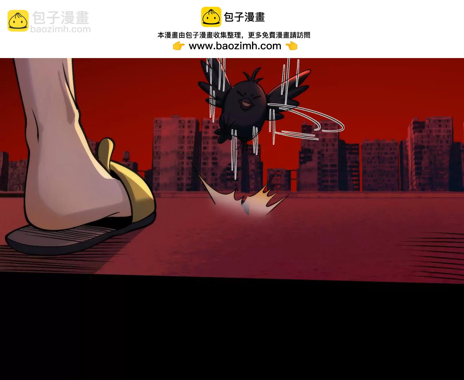 遛鸟(1/3)-第101话