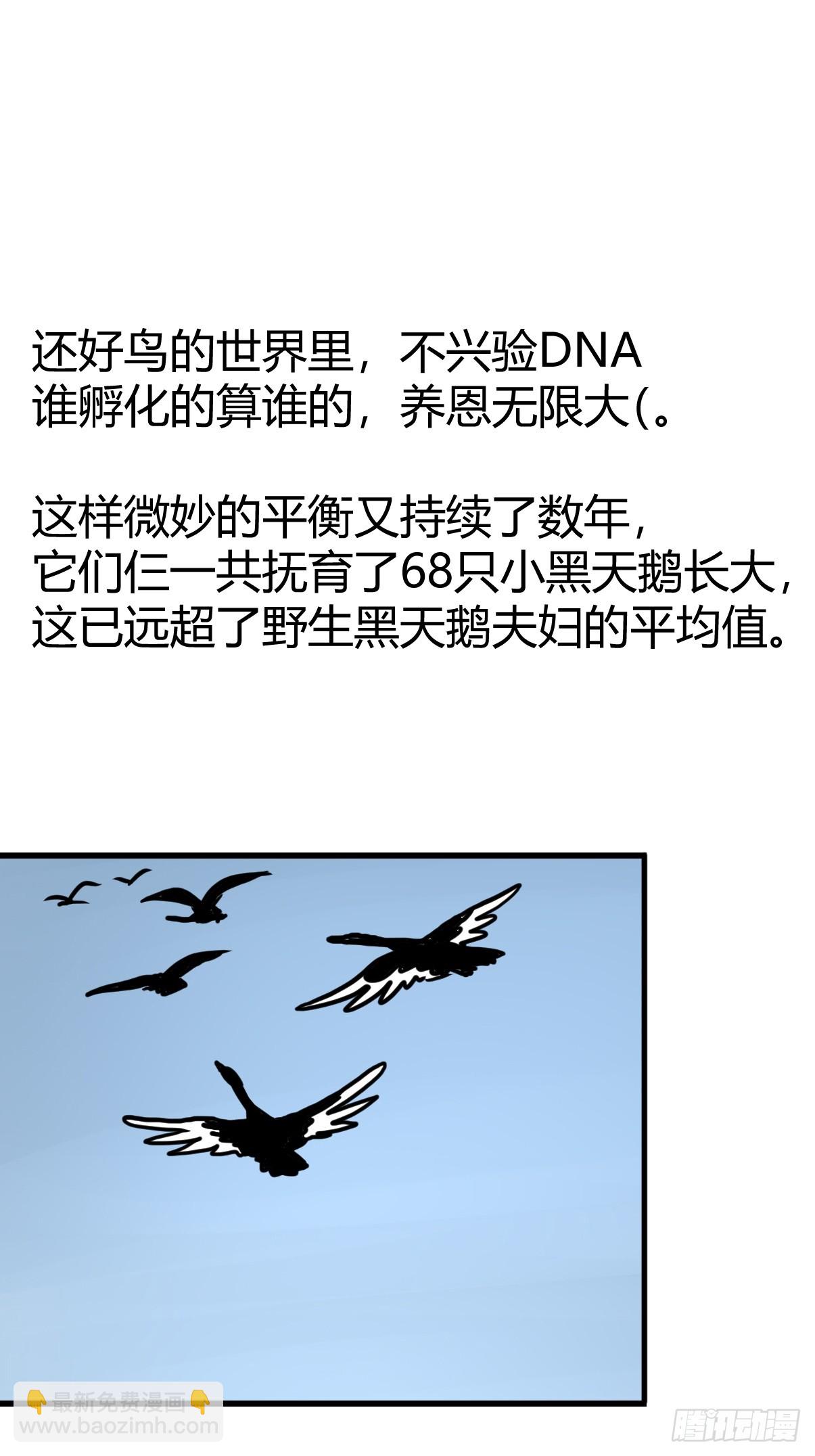 进化之基 - 十日谈17：黑白罗曼史·4(2/2) - 2