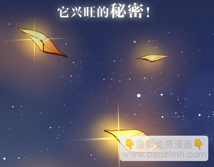 序章  锦鲤归-第1话