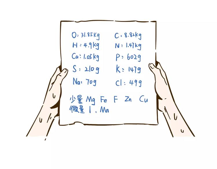 第11-2话 空手造女友(1/2)-第17话