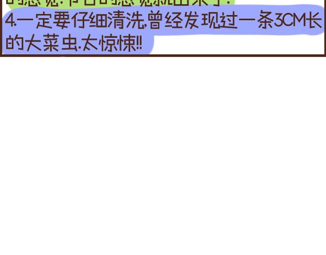 第25话 白灼西兰花-第25话