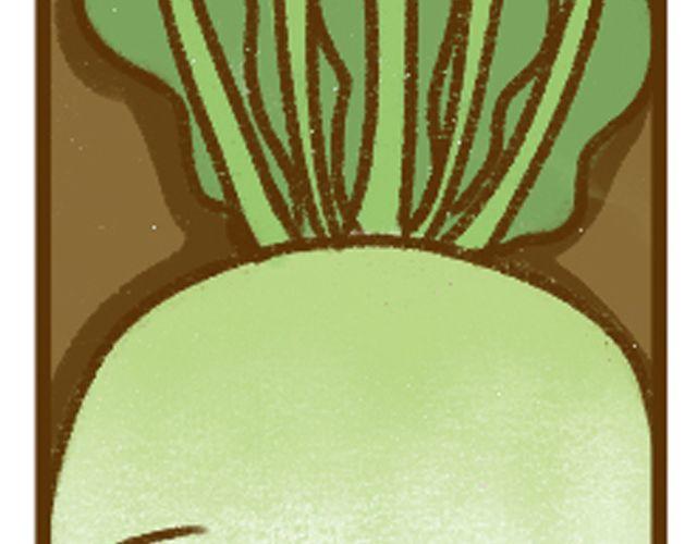 第9话 零基础白萝卜汤-第9话