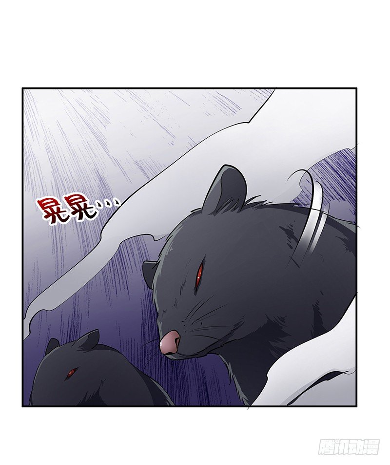 第13话：东躲西藏(1/2)-第13话