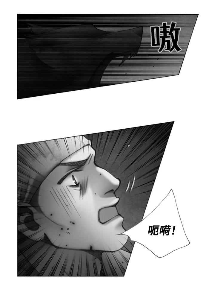 金色沙漠狐狸的秘密 - 第41話 - 5