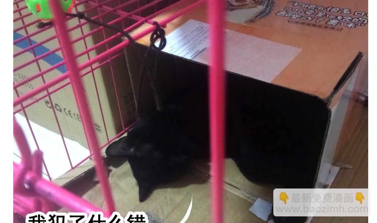 第47话 人质-第47话