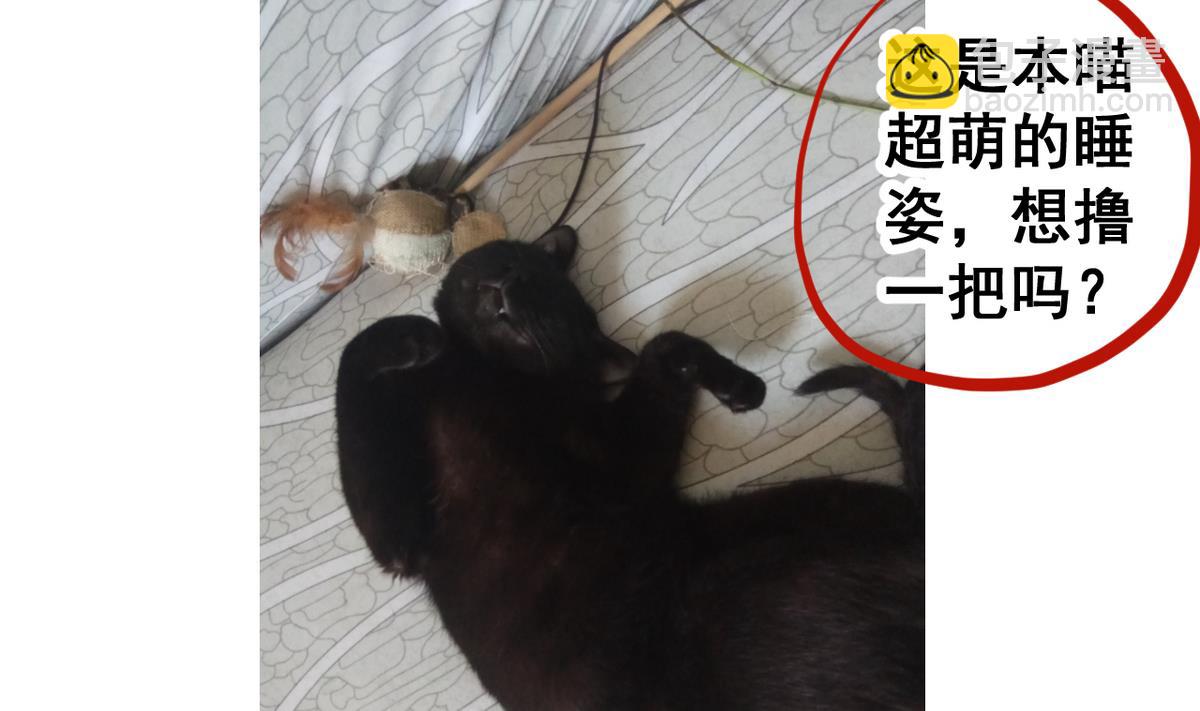 第49话 人丹(1/2)-第49话