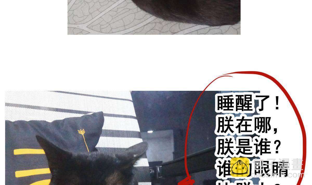 第49话 人丹(1/2)-第49话