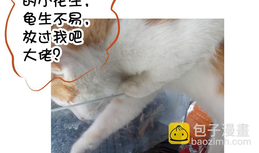 第53话 瑞王被尾随-第53话