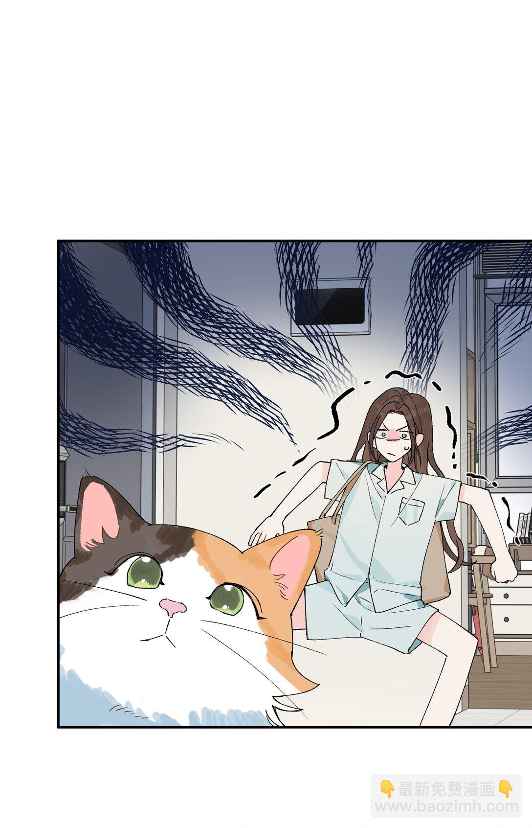 第20话 赔了夫人又折喵~-第21话