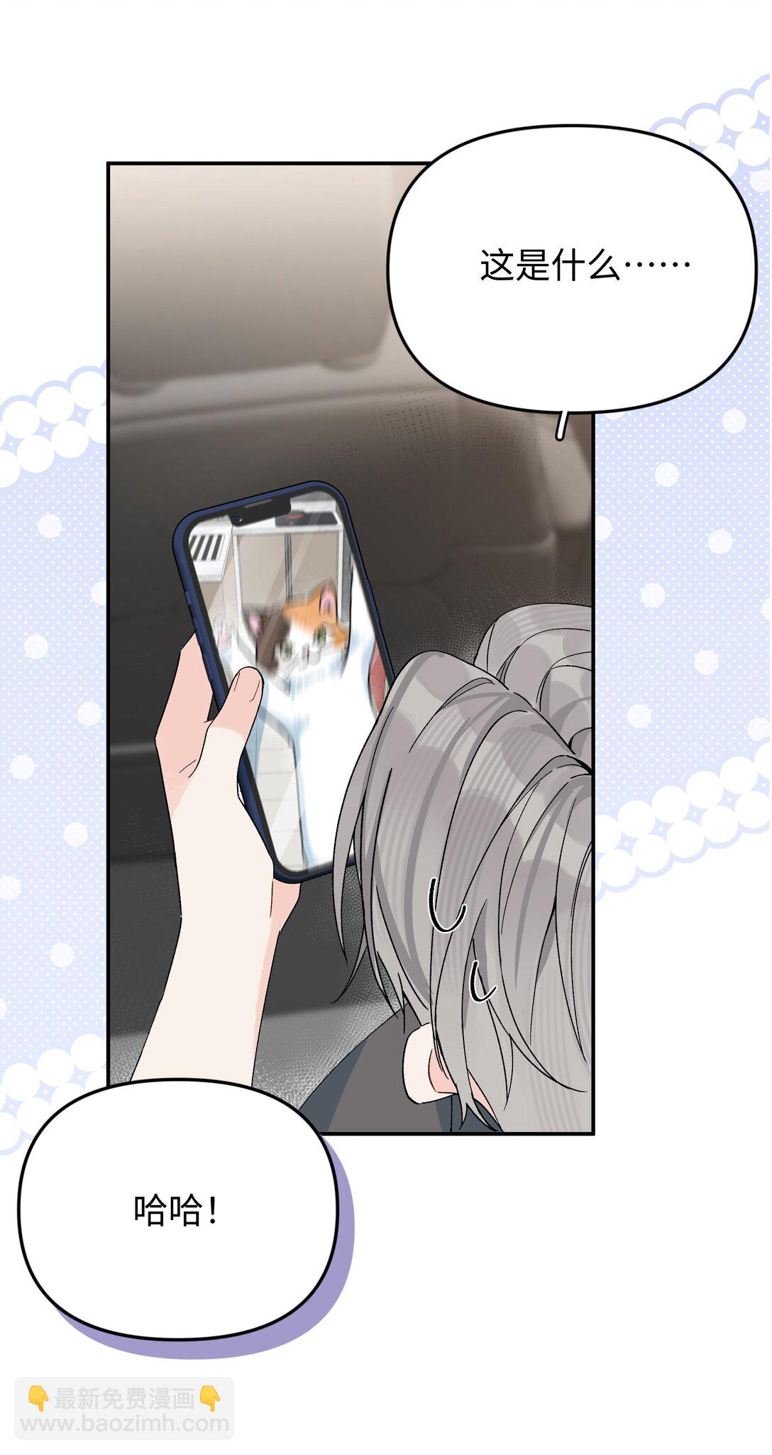 第20话 赔了夫人又折喵~-第21话