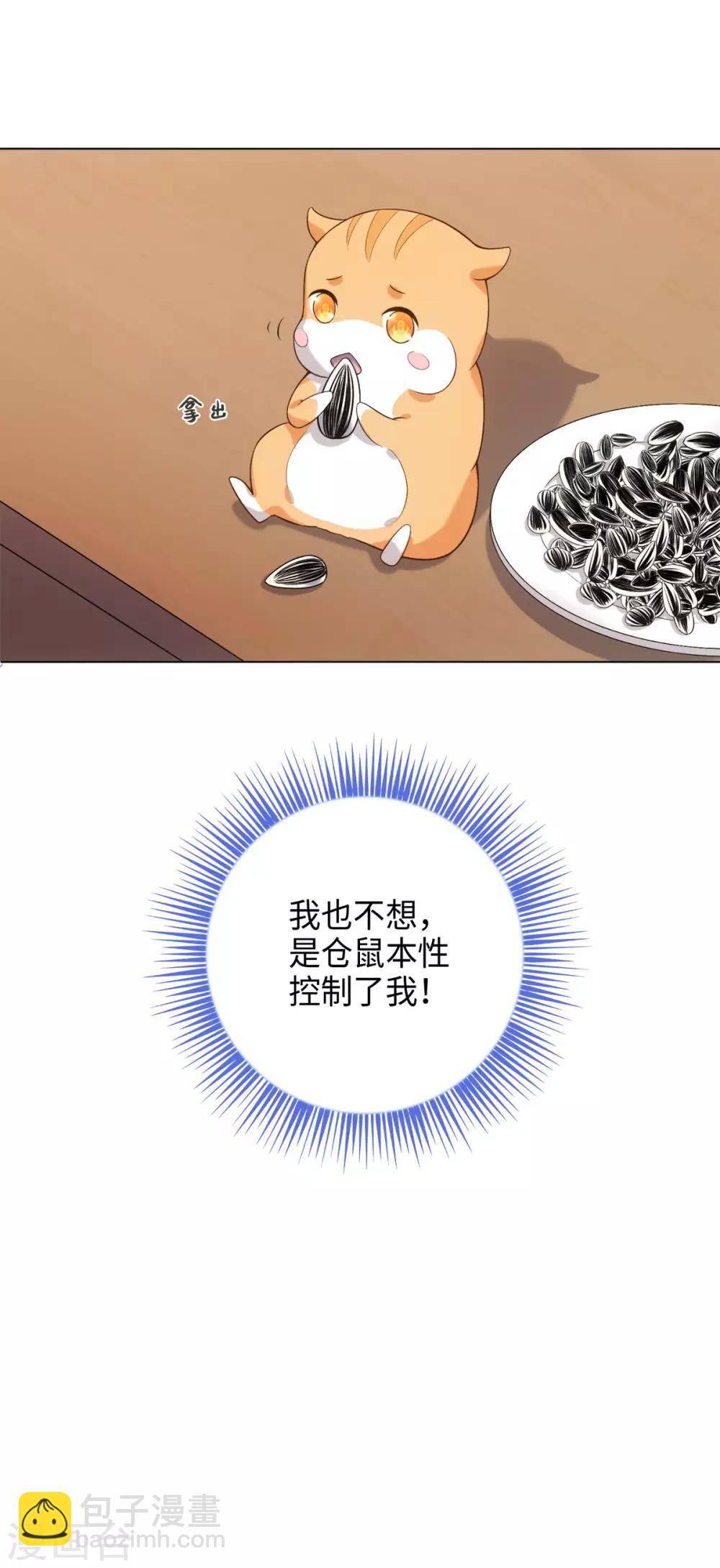 今天也沒變成人 - 第34話 我怎麼成了老鼠QAQ - 5