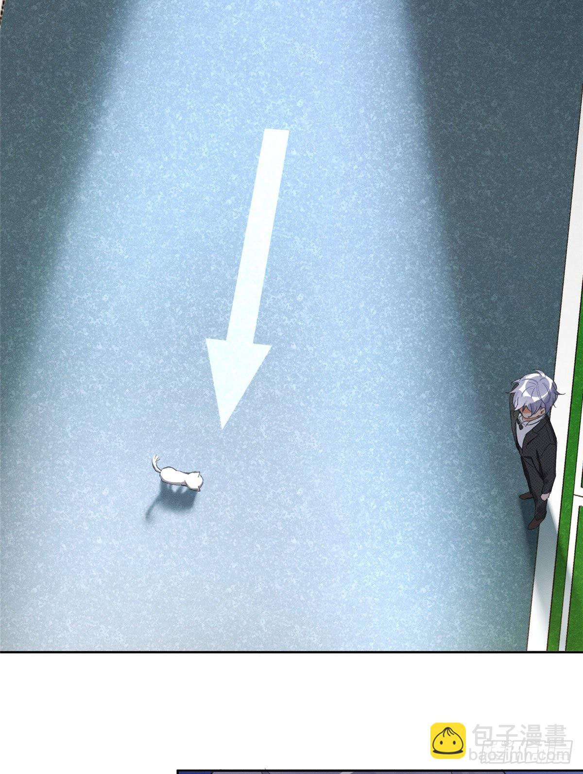 第1话 我变成猫了！(1/2)-第1话