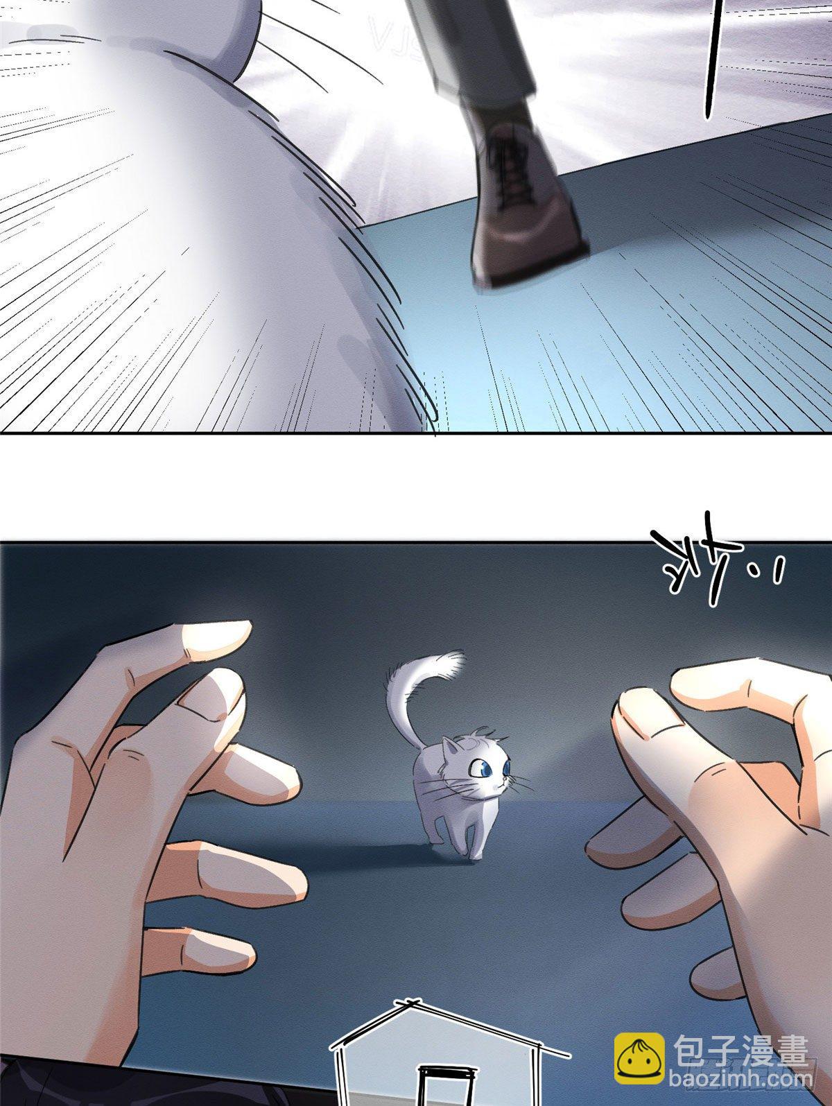 第1话 我变成猫了！(1/2)-第1话