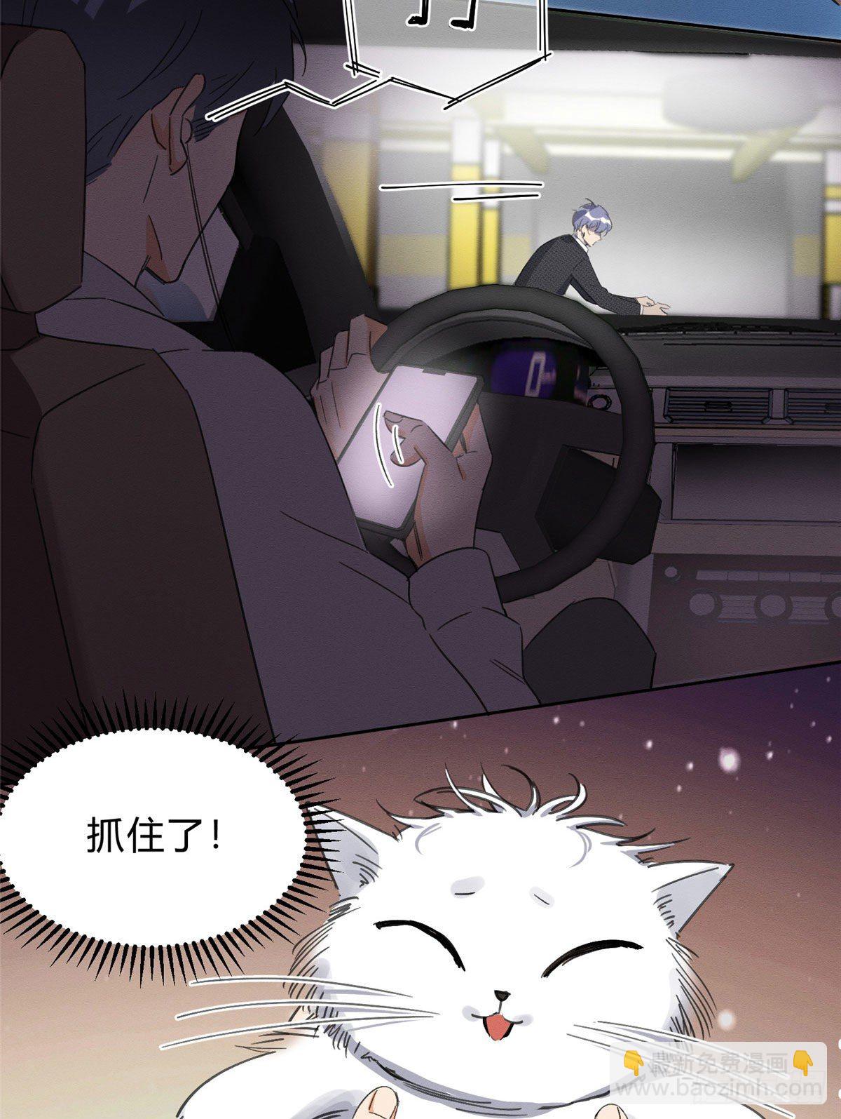 第1话 我变成猫了！(1/2)-第1话