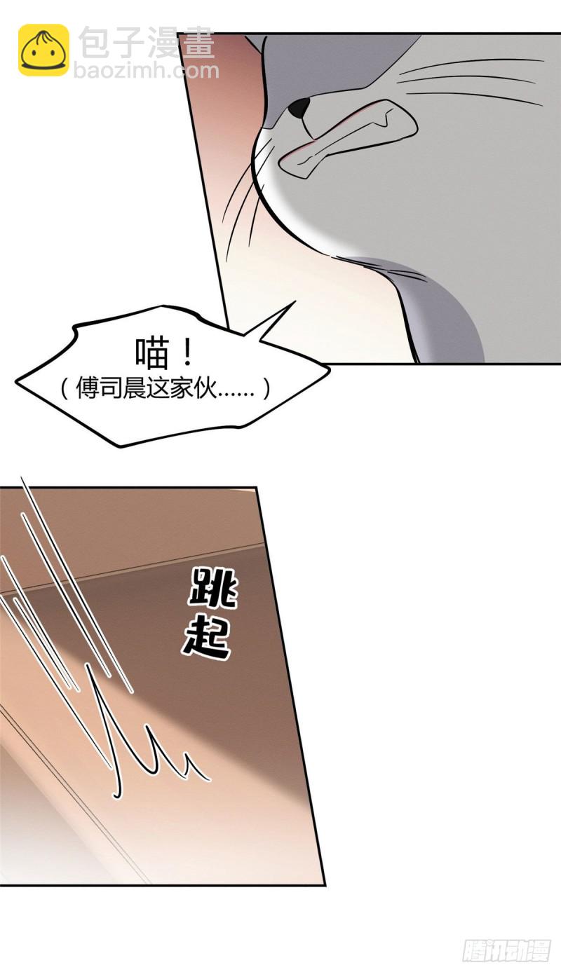 第31话 为了裴裴，接了！-第31话