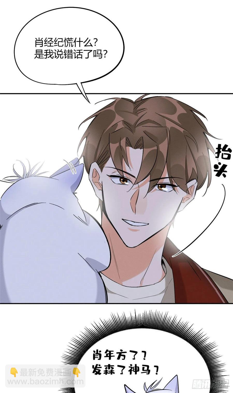 第33话 睹猫思人-第33话