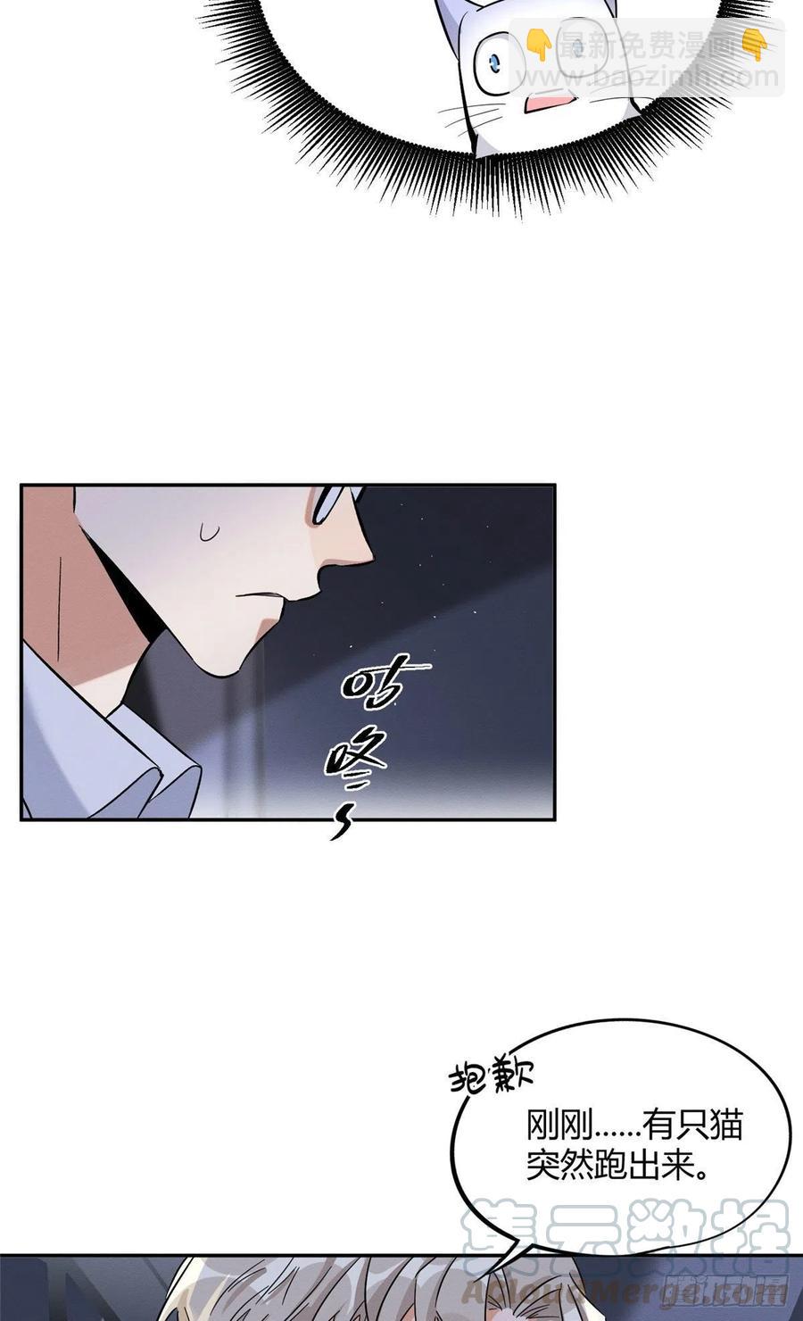 第33话 睹猫思人-第33话