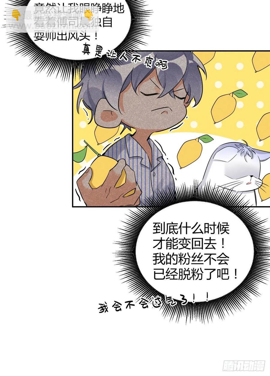 第33话 睹猫思人-第33话