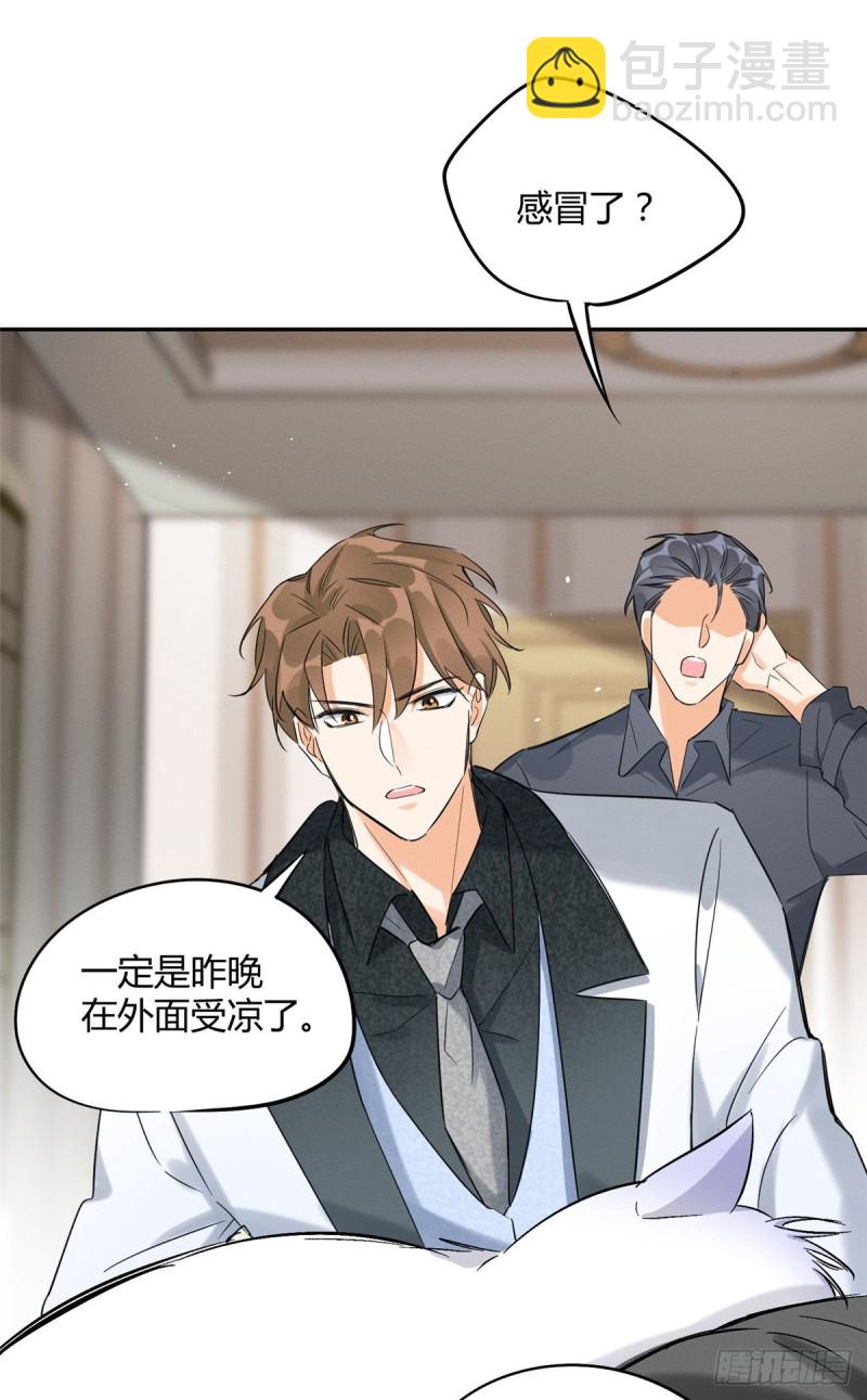 第35话 猫猫病啦-第35话