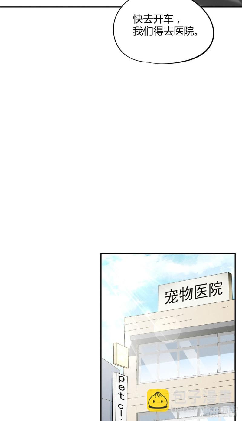 第35话 猫猫病啦-第35话