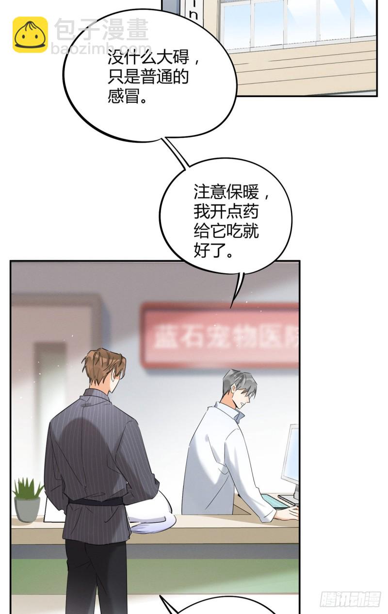 第35话 猫猫病啦-第35话