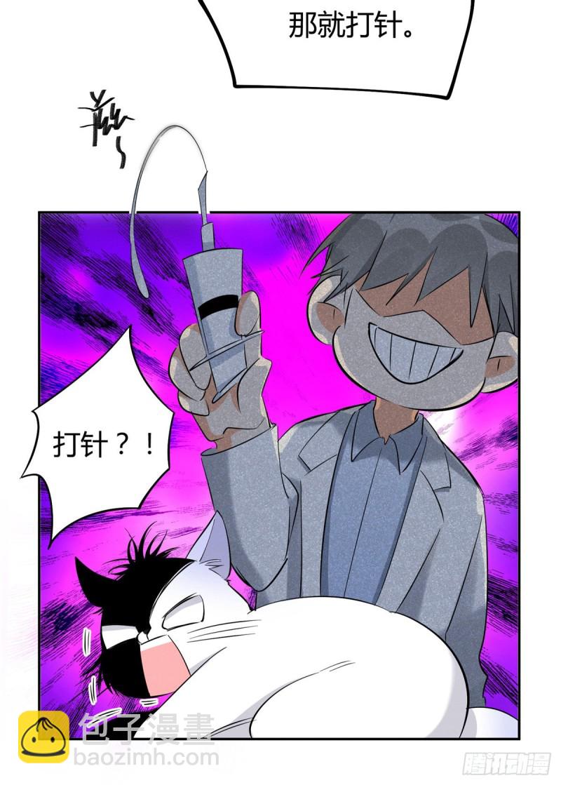 第35话 猫猫病啦-第35话