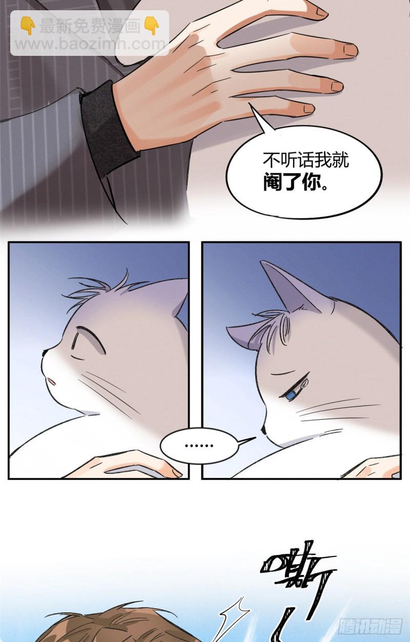 第35话 猫猫病啦-第35话