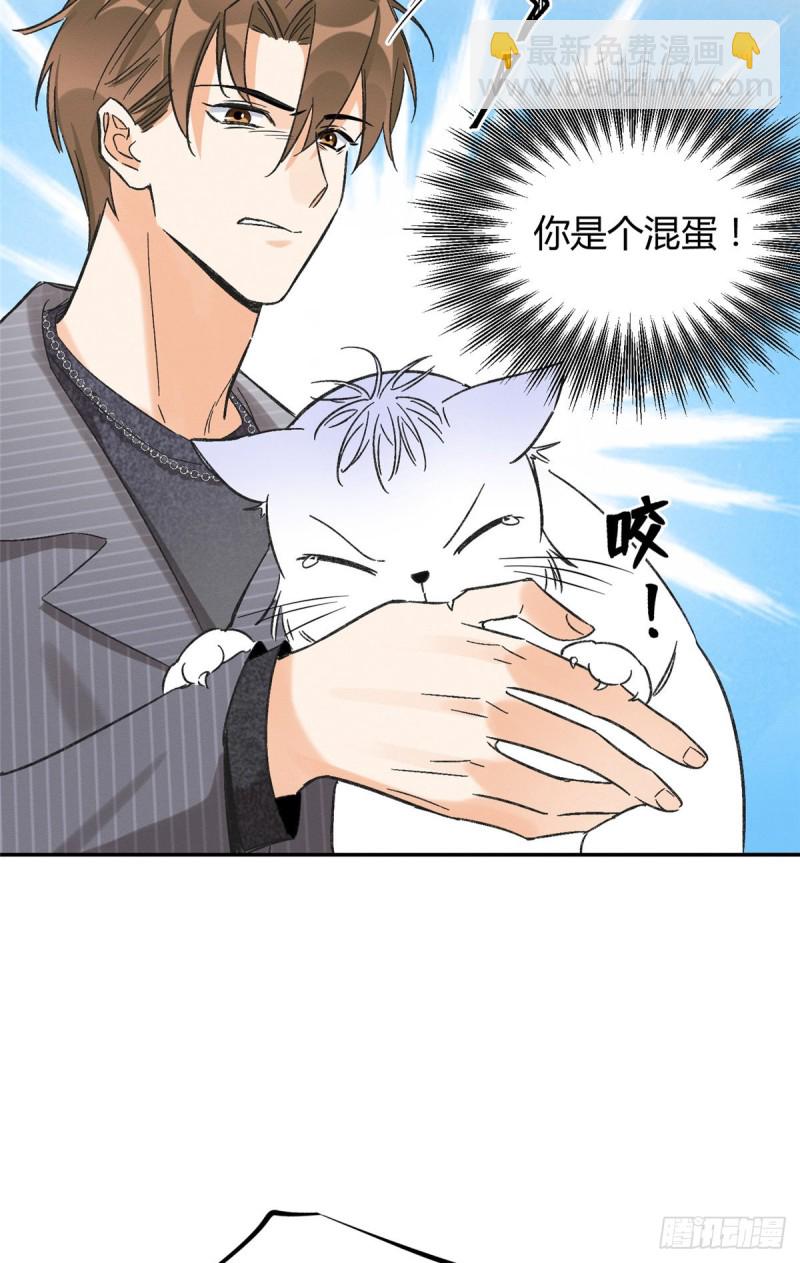 第35话 猫猫病啦-第35话