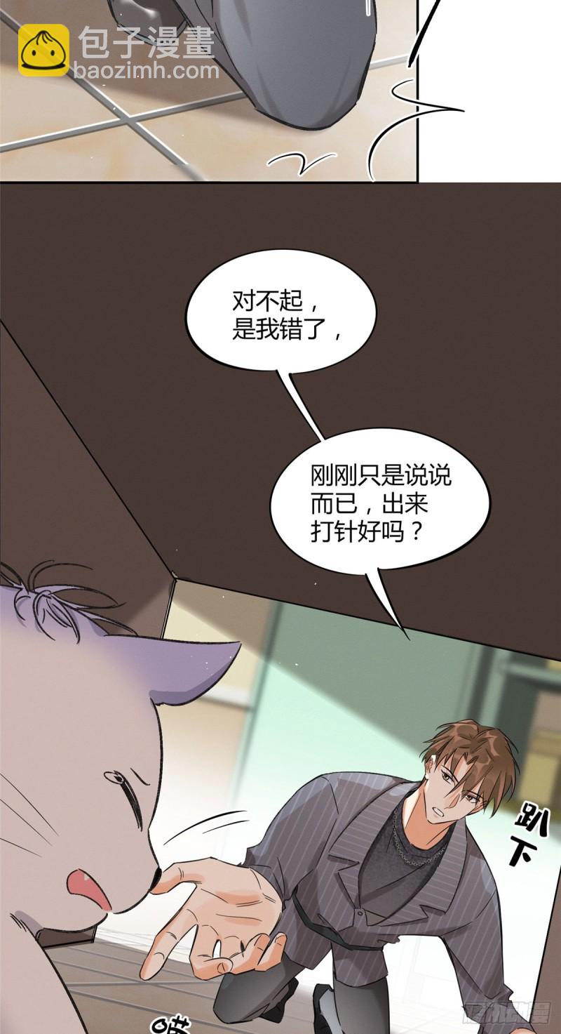 第35话 猫猫病啦-第35话