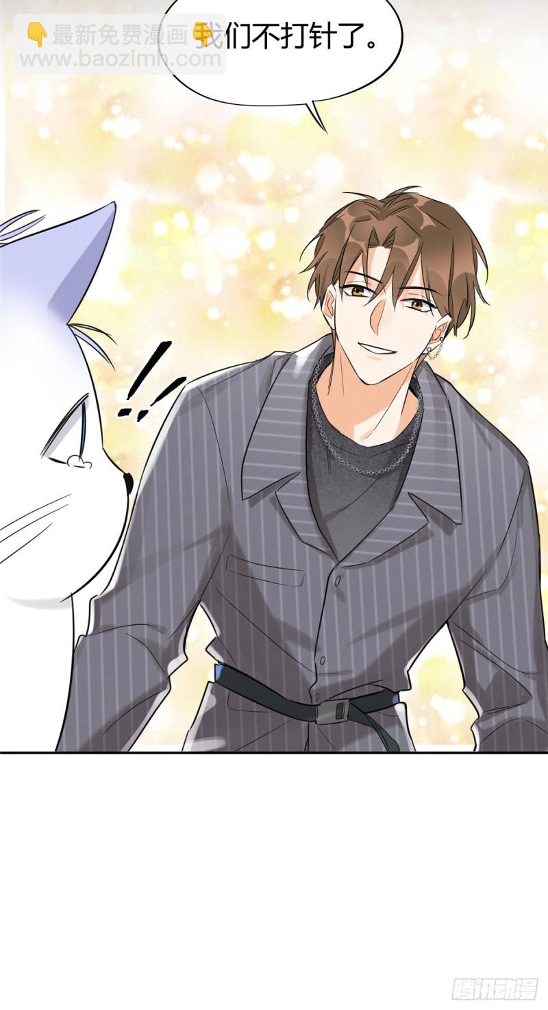 第35话 猫猫病啦-第35话