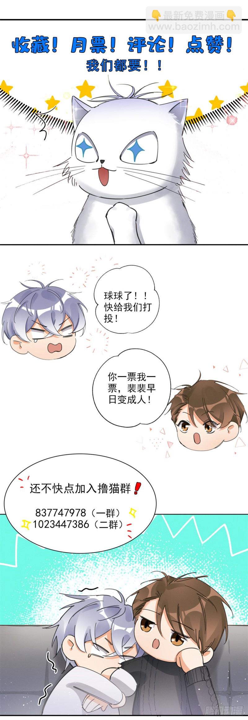 第35话 猫猫病啦-第35话