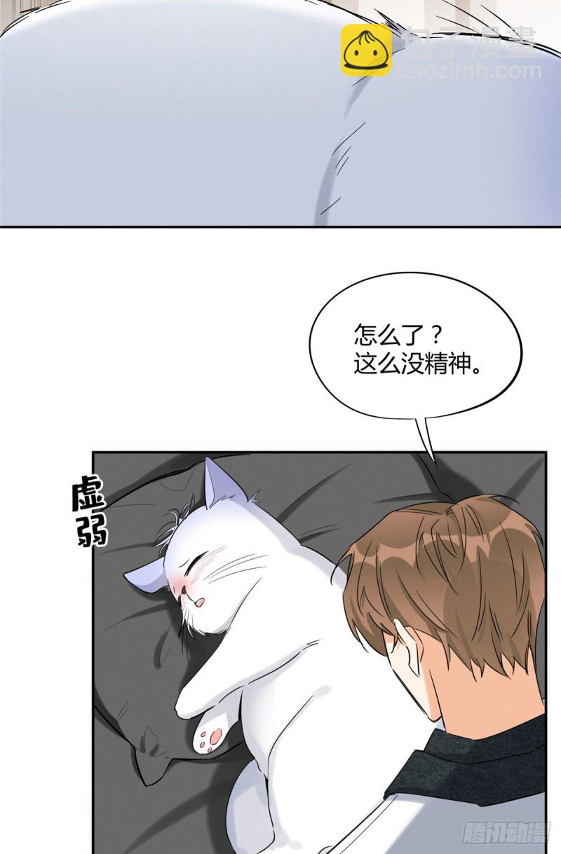 第35话 猫猫病啦-第35话