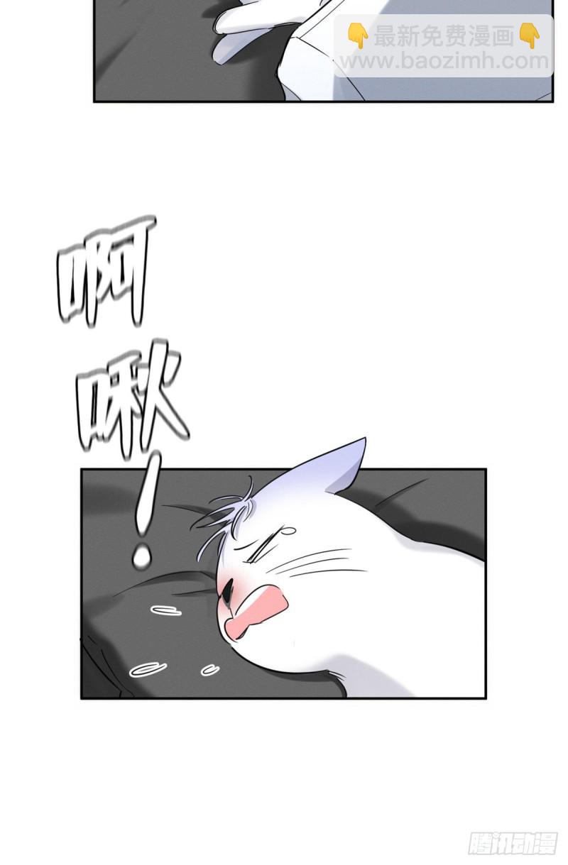 第35话 猫猫病啦-第35话