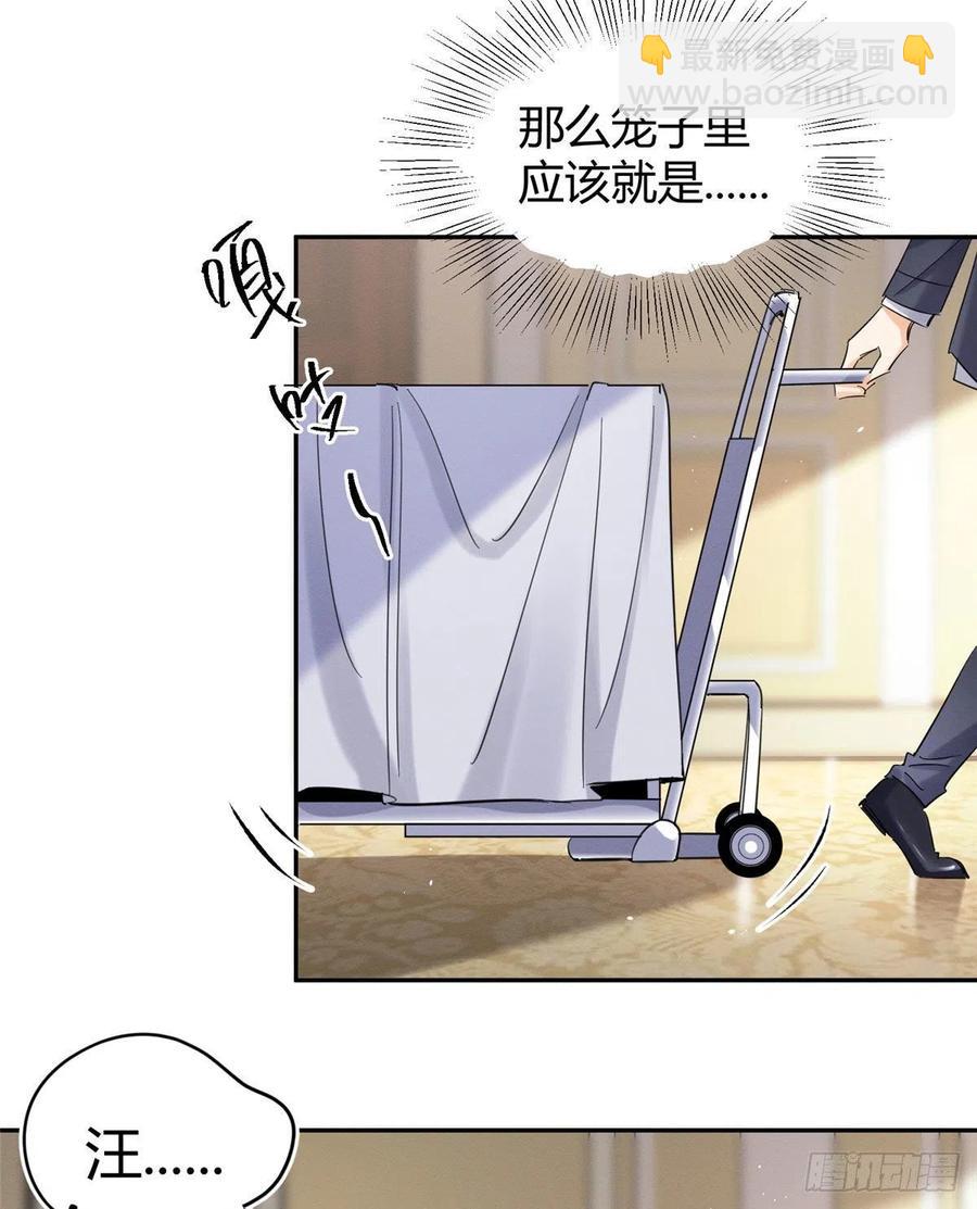 47坏女人！(1/2)-第47话