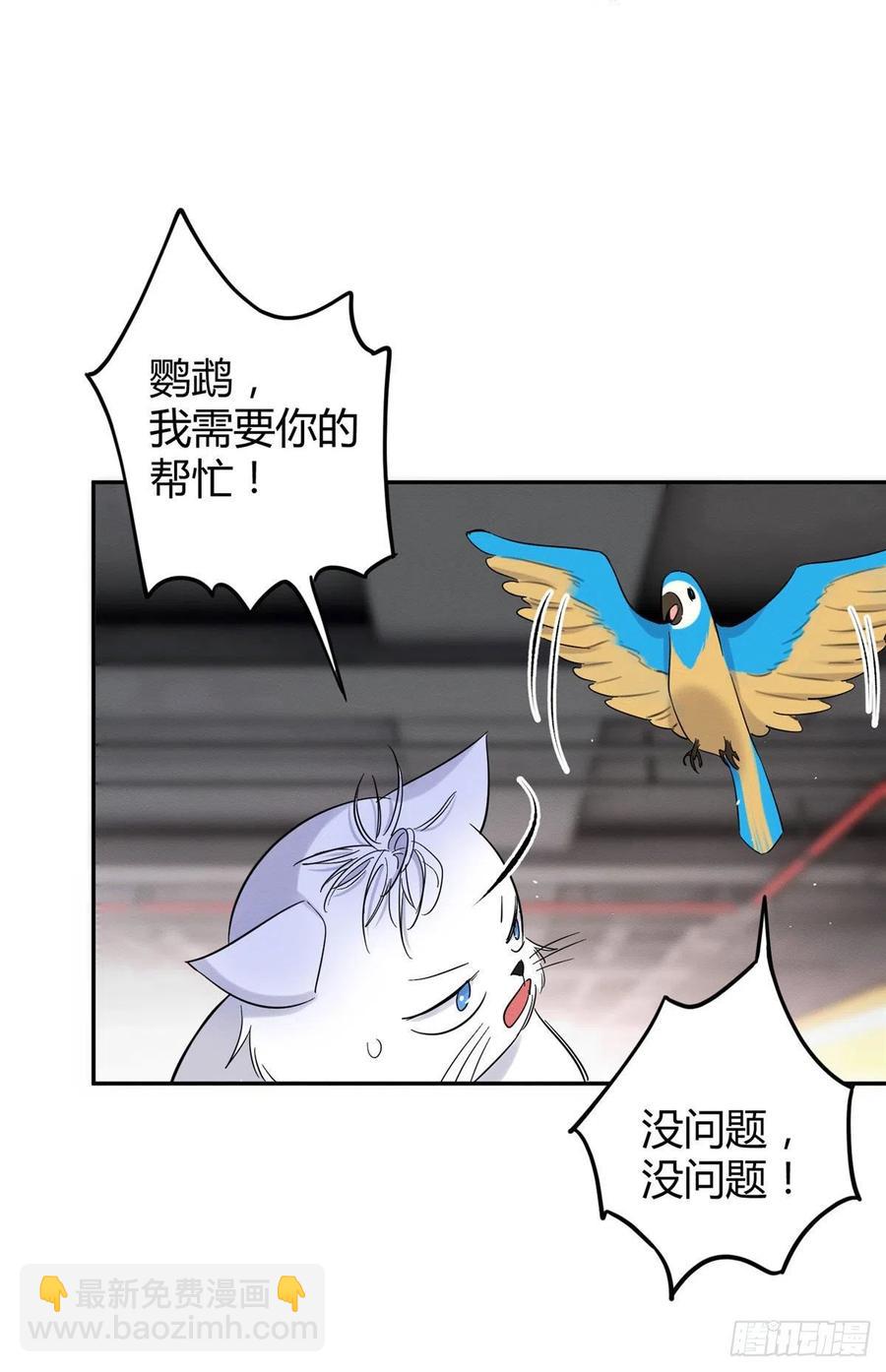 47坏女人！(1/2)-第47话