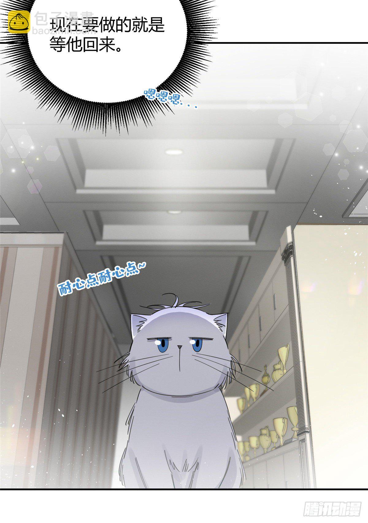 今天也要努力當只貓 - 第5話  是公的！(1/2) - 5