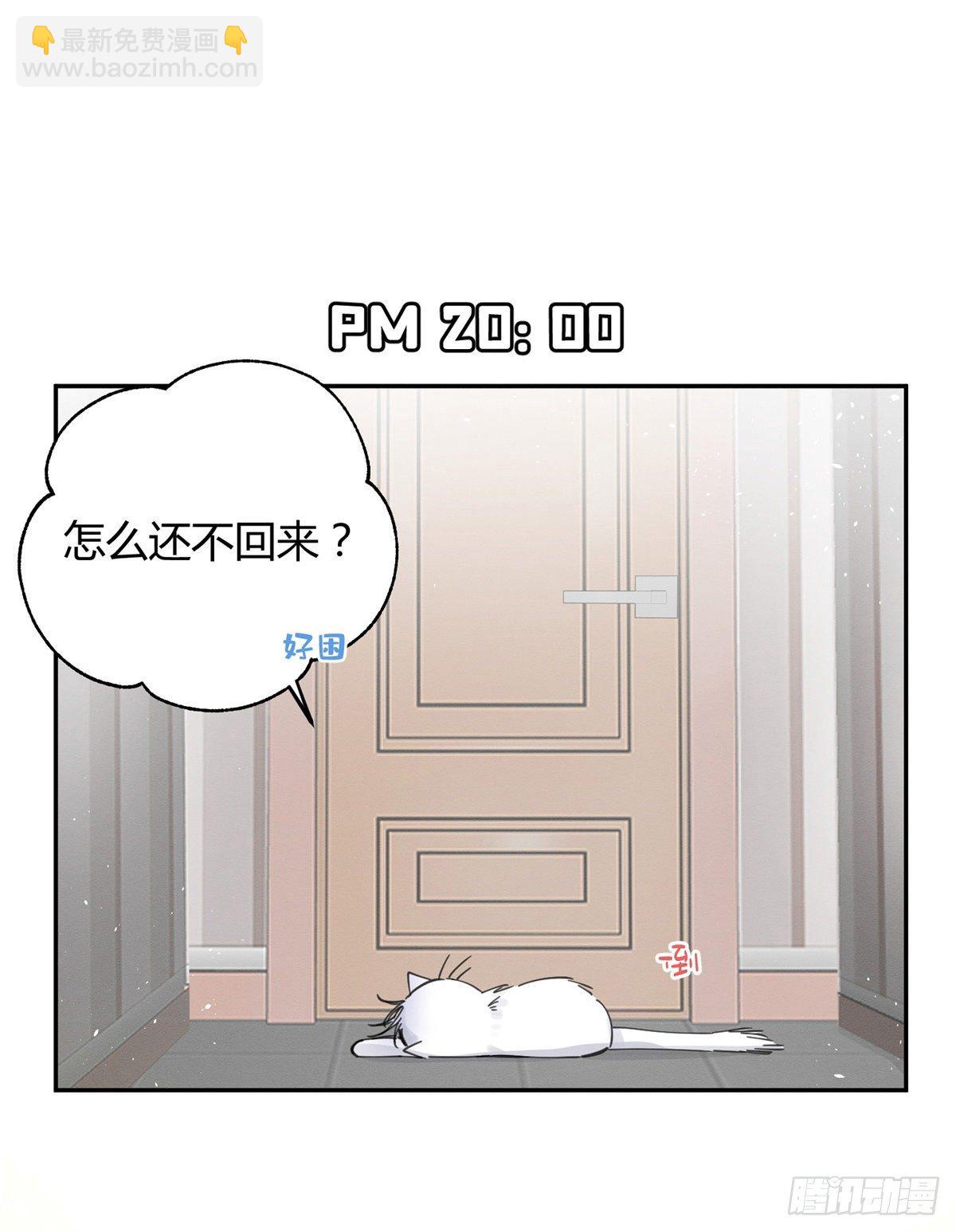 今天也要努力當只貓 - 第5話  是公的！(1/2) - 7