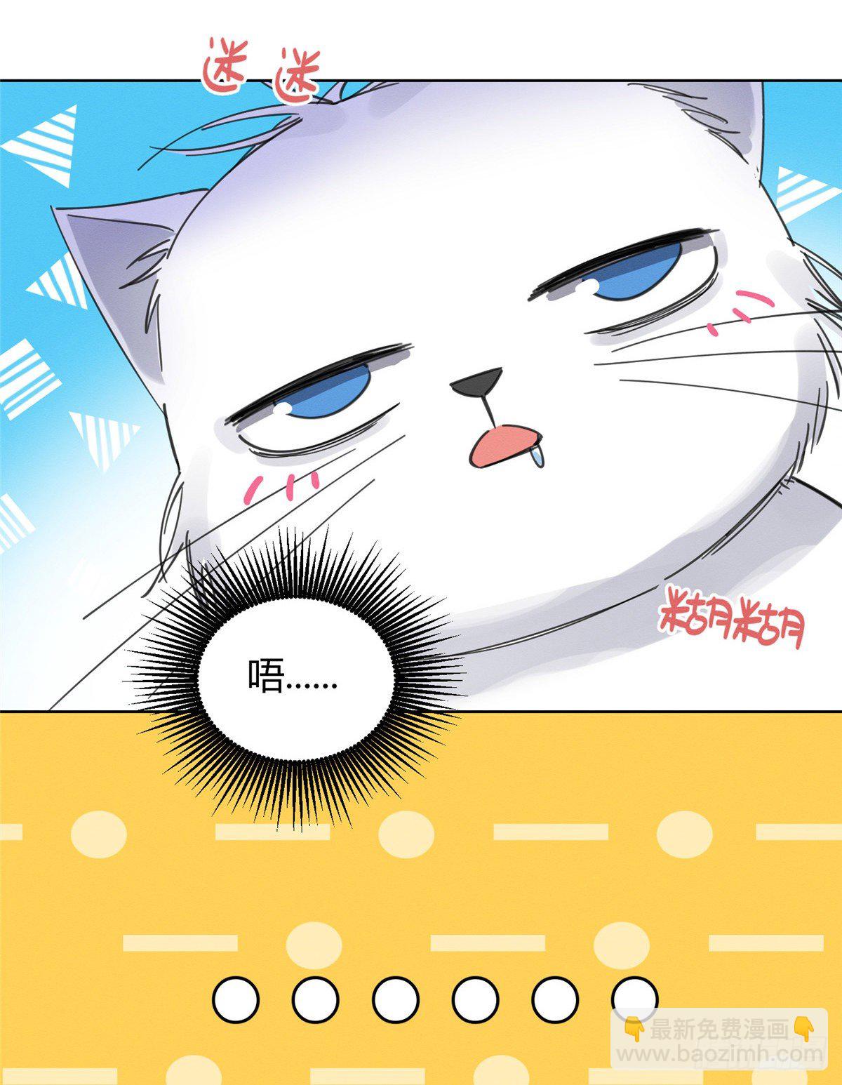 今天也要努力當只貓 - 第5話  是公的！(1/2) - 4