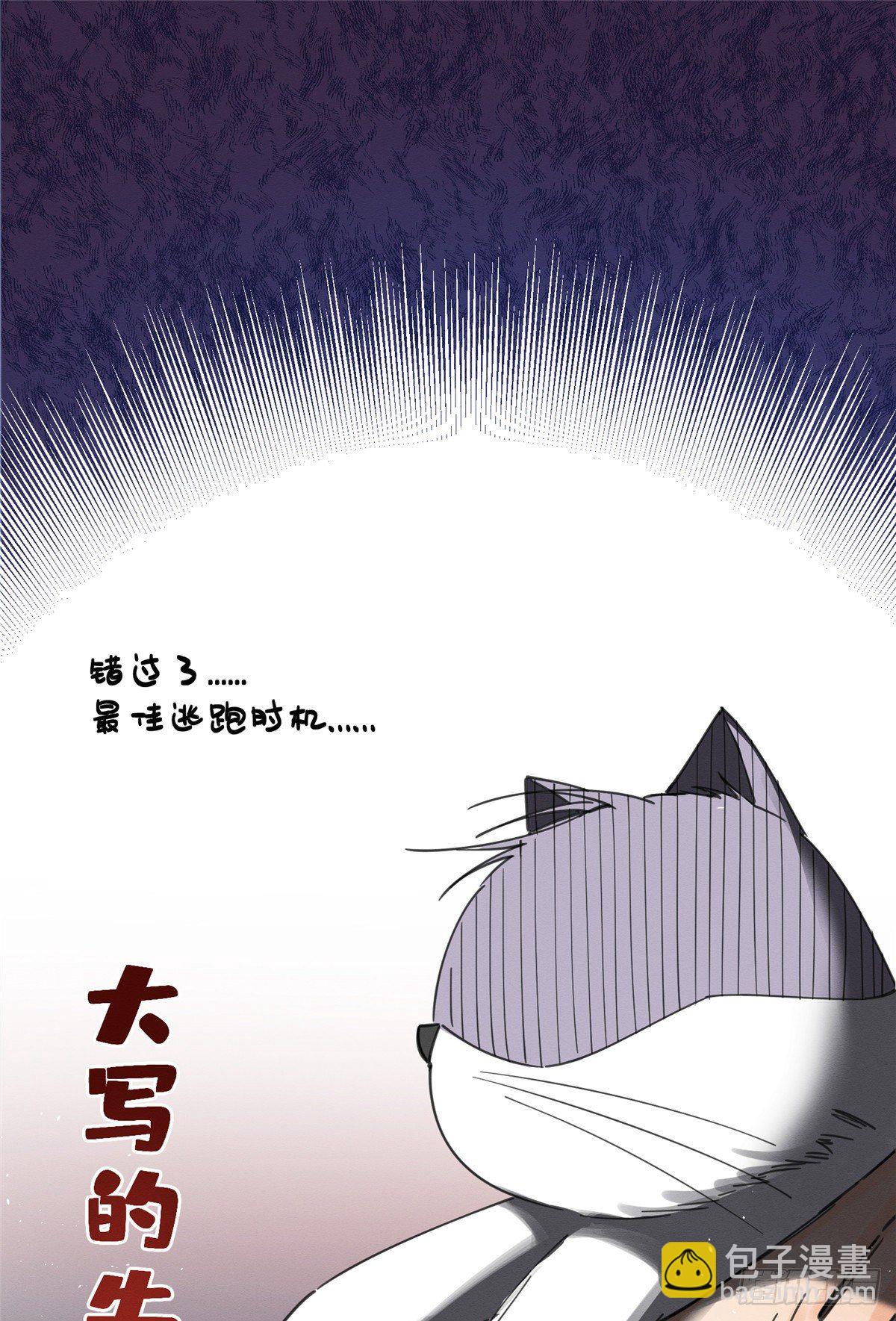 今天也要努力當只貓 - 第5話  是公的！(1/2) - 8