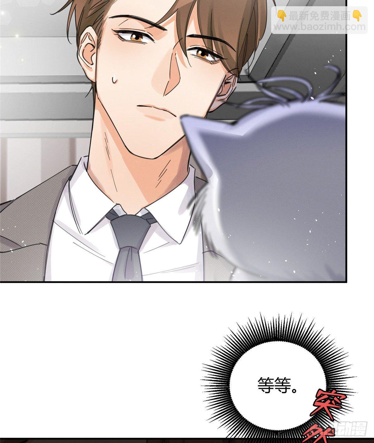 今天也要努力當只貓 - 第5話  是公的！(1/2) - 2