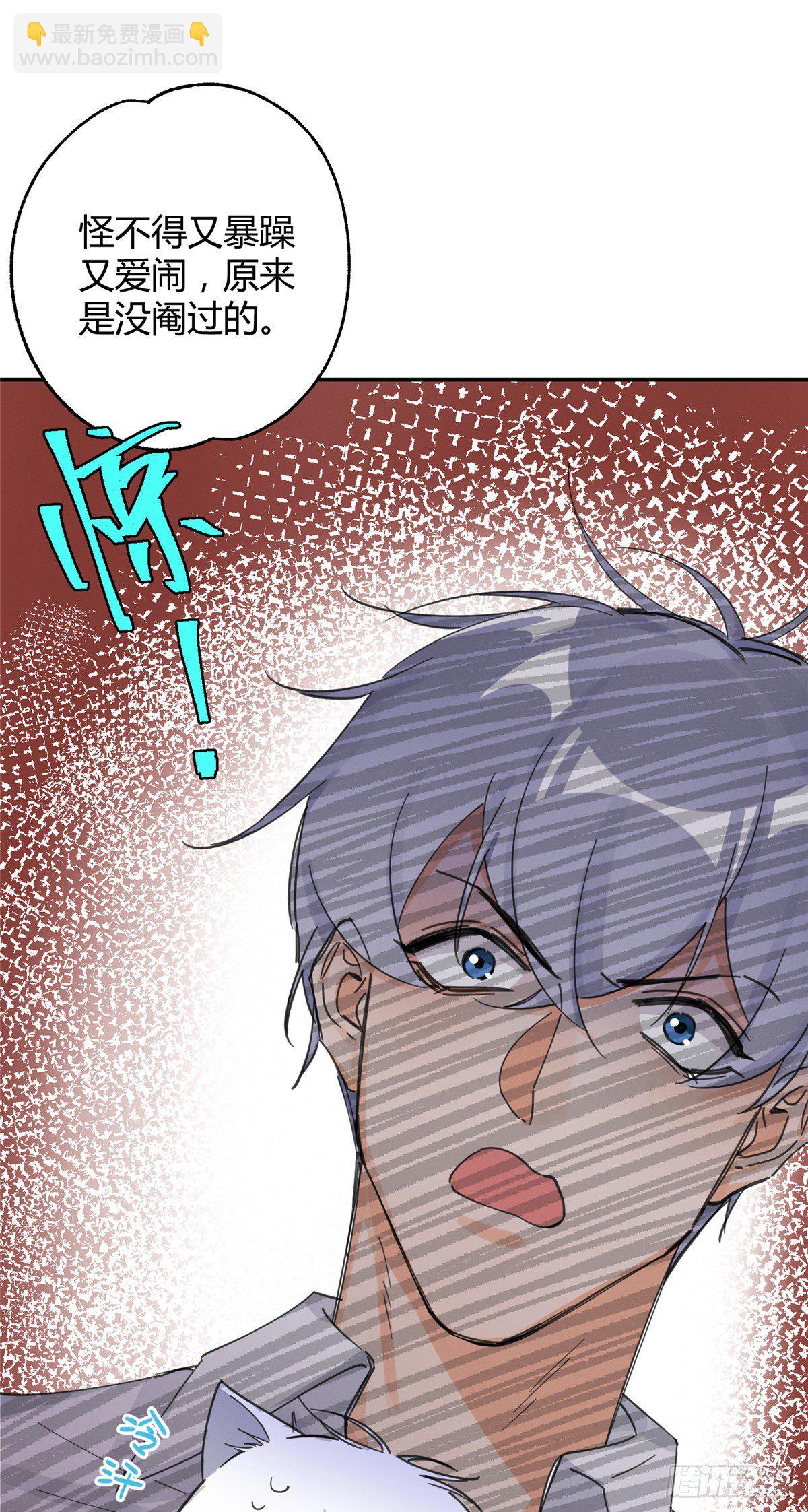 今天也要努力當只貓 - 第5話  是公的！(1/2) - 8