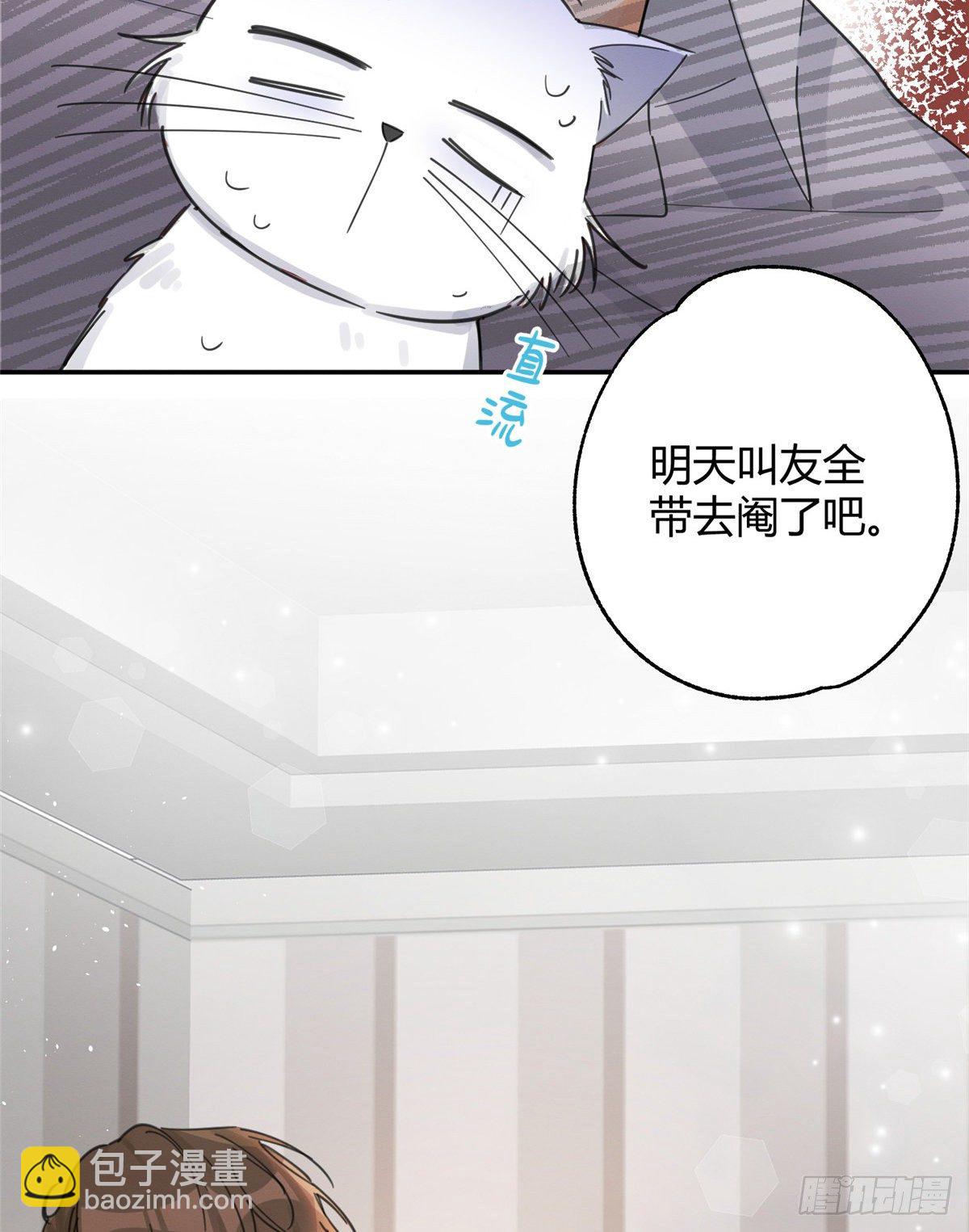 今天也要努力當只貓 - 第5話  是公的！(1/2) - 1