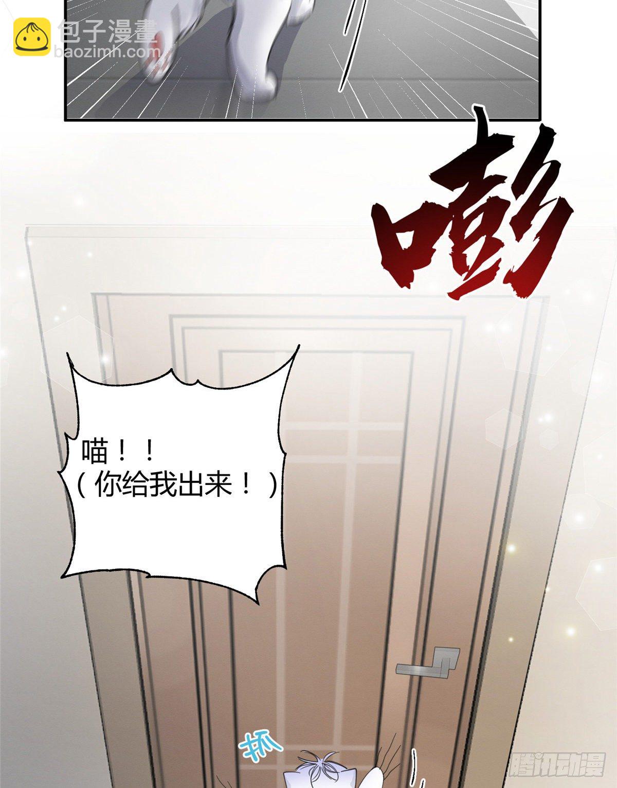 今天也要努力當只貓 - 第5話  是公的！(1/2) - 4